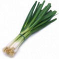 cebolla de rama